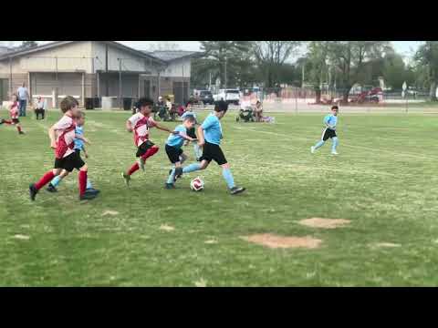 Good Clearance Cesar