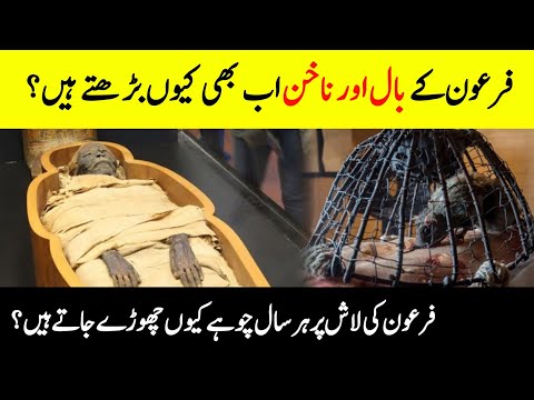 Is Pharaoh's Hair and Nails Still Growing? || Unbelievable Facts About The Mummy Of Pharaoh