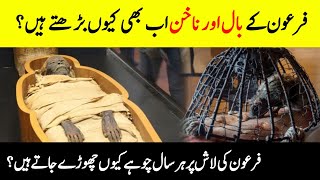 Is Pharaoh's Hair and Nails Still Growing? || Unbelievable Facts About The Mummy Of Pharaoh