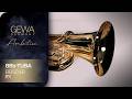 GEWA Germany BBb-Tuba BB501B Ambition