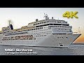 MSC Sinfonia [4K] Docking 2019!