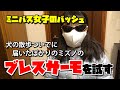 ミニバス女子のバッシュ【ミズノのブレスサーモマウスカバーというマスクを試す】