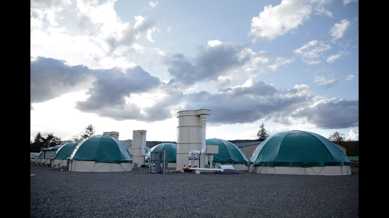 Riverence Egg Farms Washington YouTube