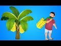 Bahubali family banana farming funny  stories for kids \\ Bahubali stories for kids