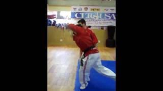 CLTC USA Demo Self Defense.avi