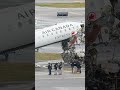 'Miracle' more weren't killed in Air Canada crash: aviation expert