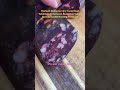 Dry-Cured BeefTenderloin & Exclusive Bear Meat SalamiRare Romanian Hunting Treasures