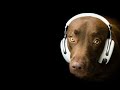 More WinAmp MilkDrop 2.0 LIVE