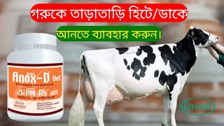 Anox-D vet ||গরুর-ছাগল কে সময় মত হিটে আনতে এনোক্স ডি ভেট ১০০% কার্যকর ||mollah krishi tv.||