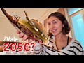 Gasté 205€ en la  pastelería más famosa de Paris | ¿Cédric Grolet vale la pena?