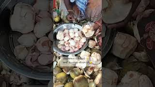 Summer Special Tati Munjalu ☀️ #TatiMunjalu #StreetFood #Shorts #SummerSpecial #VillageVibes