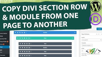 How to Copy Divi Section Row and Module from One Page to Another Page in WordPress