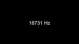 How 18731 Hz Sounds to the Human Ear