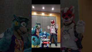 Is The Furry Community Actually A CULT?! 😳