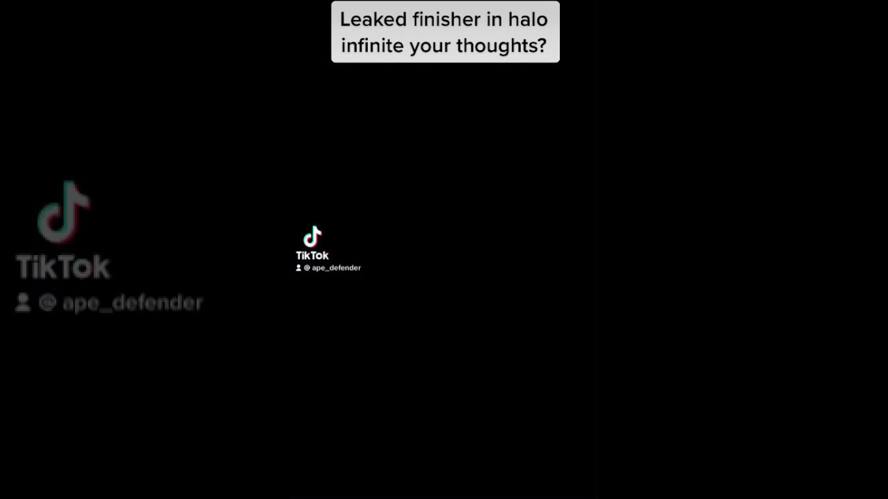 Halo infinite leaked finisher
