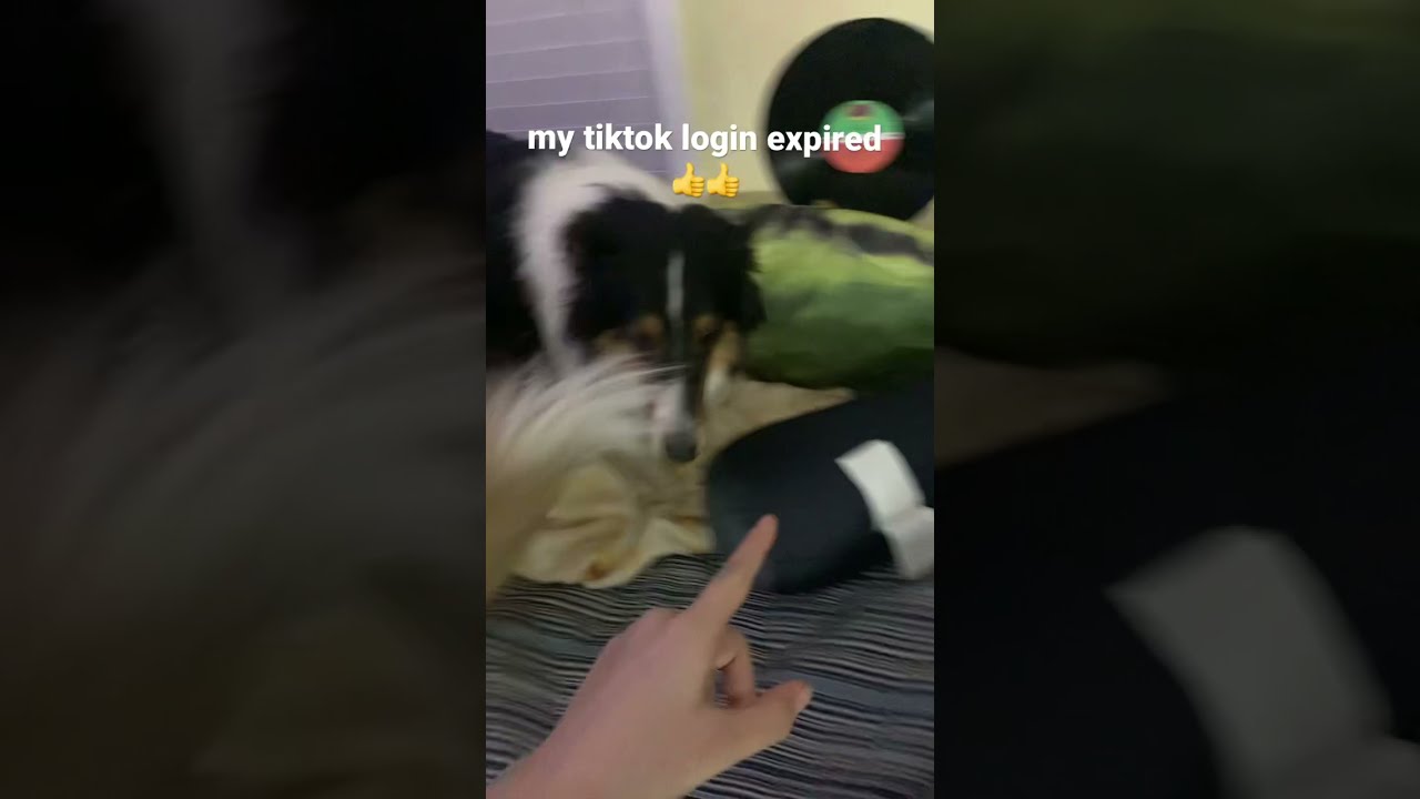 My Tiktok Login Expired YouTube My Tiktok Login Expired YouTube