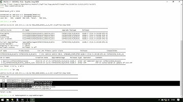 How to Upgrade Basic Package of Ericsson DUW step by step