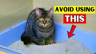 9 Biggest Litter Box Mistakes (Never do this!)