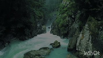 سورة يوسف الجزء الاول اولى باك