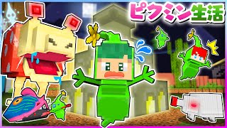 マイジャックマイクラ ピクミン4 まとめ売り mqdefault.jpg