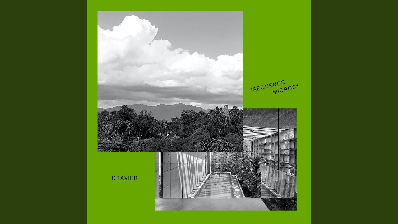 Watch Undergrowth on YouTube Watch Undergrowth on YouTube