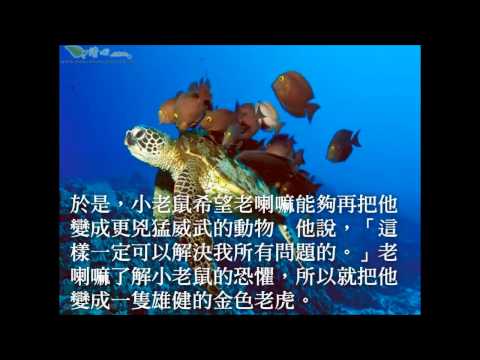 你是什麼就是什麼-心靈