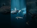 Narwhal Tusk Explained: It’s 10M Nerve Endings