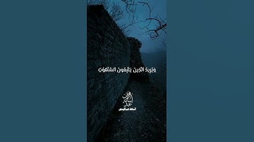 يُرِيدُ اللَّهُ أَنْ يَتُوبَ عَلَيْكُمْ | تلاوة خاشعة من سورة النساء #quran #قرآن