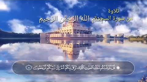 * تلاوة من سورة السجدة* الأستاذ موسى يزيد زعرب