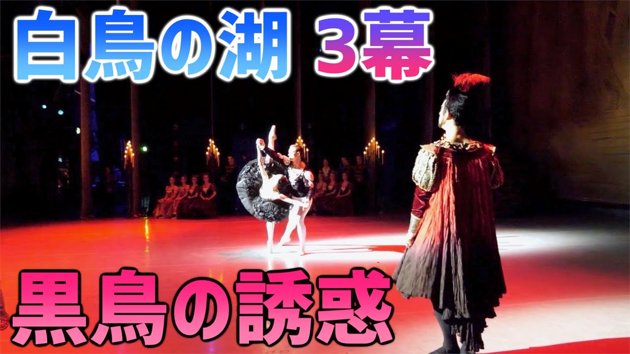白鳥の湖 3幕】黒鳥とロットバルトに騙される王子【公演】~swanlake