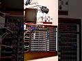 Dreadbox Disorder Fuzz Filter Dubwise
