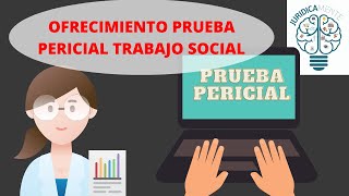 Example of Offer of Expert Evidence for Social Work