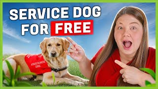 FREE Service Dogs: 10 Agencies for Low Income—Apply Now! by Low Income Relief 3,801 views 1 month ago 9 minutes, 30 seconds