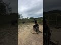 Competitive Shooting Highlights | IPSC 2025 #shorts