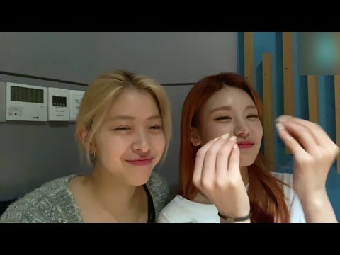 [Itzy] 까사노 까사노