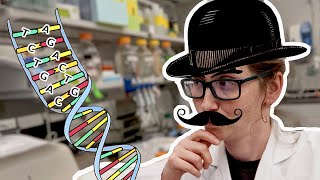 Is the Central Dogma of Biology a LIE?