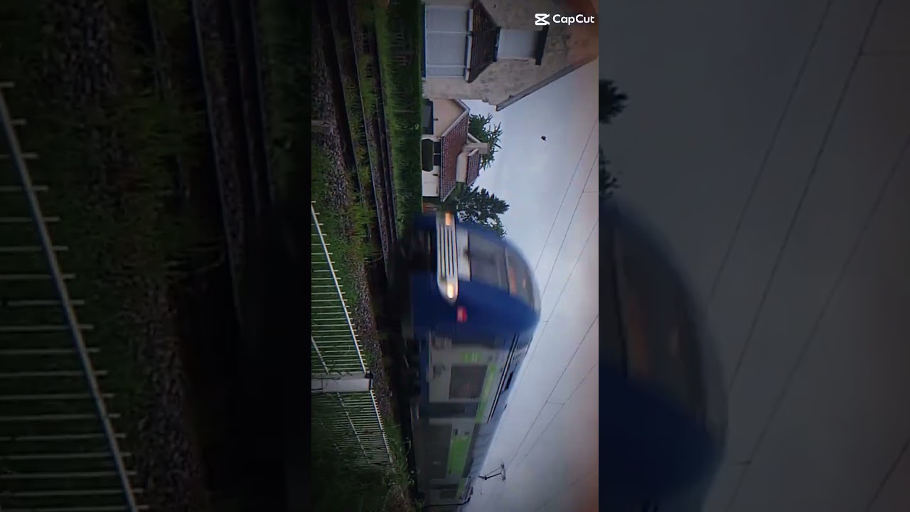 Dangerous Montage Train (+ 1 Ilevia)