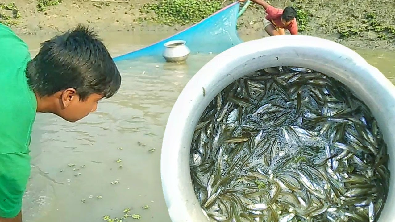 Best Tiny Fish Catching Technique, Small fishing technique