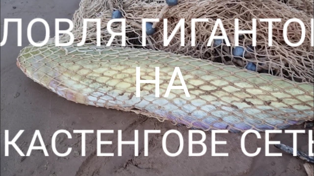 Камазе фуруши дар точикистон Камазе фуруши дар точикистон