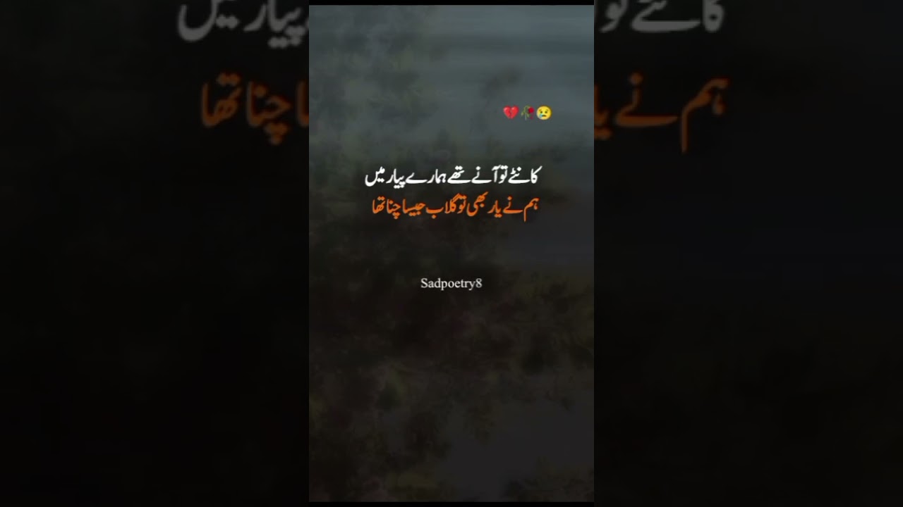 𝐃𝐞𝐞𝐩 𝐋𝐢𝐧𝐞 🥀💥❤️‍🩹 | 𝐔𝐫𝐝𝐮 𝐒𝐡𝐚𝐲𝐚𝐫𝐢 | 𝐖𝐡𝐚𝐭𝐬𝐀𝐩𝐩 𝐒𝐭𝐚𝐭𝐮𝐬 | 