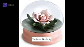 Brahms Waltz For Music Box