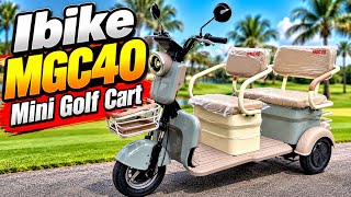 I bought Cheap New Auction Golf Carts | Are They Any Good? | iBike MGC40