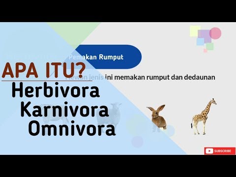 Video: Apa Itu Omnivora?