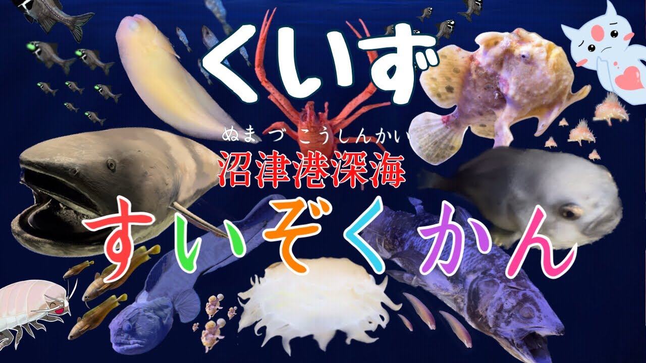 クイズ！！沼津港深海水族館