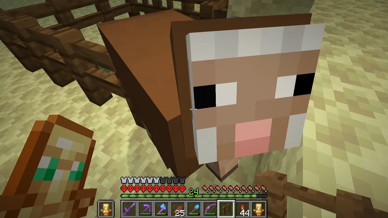 Minecraft Sheep Getting End Rodded why i brought a sheep to the end on hardcore minecraft - YouTube