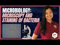 [MICROBIOLOGY] Microscopy and Staining of Bacteria