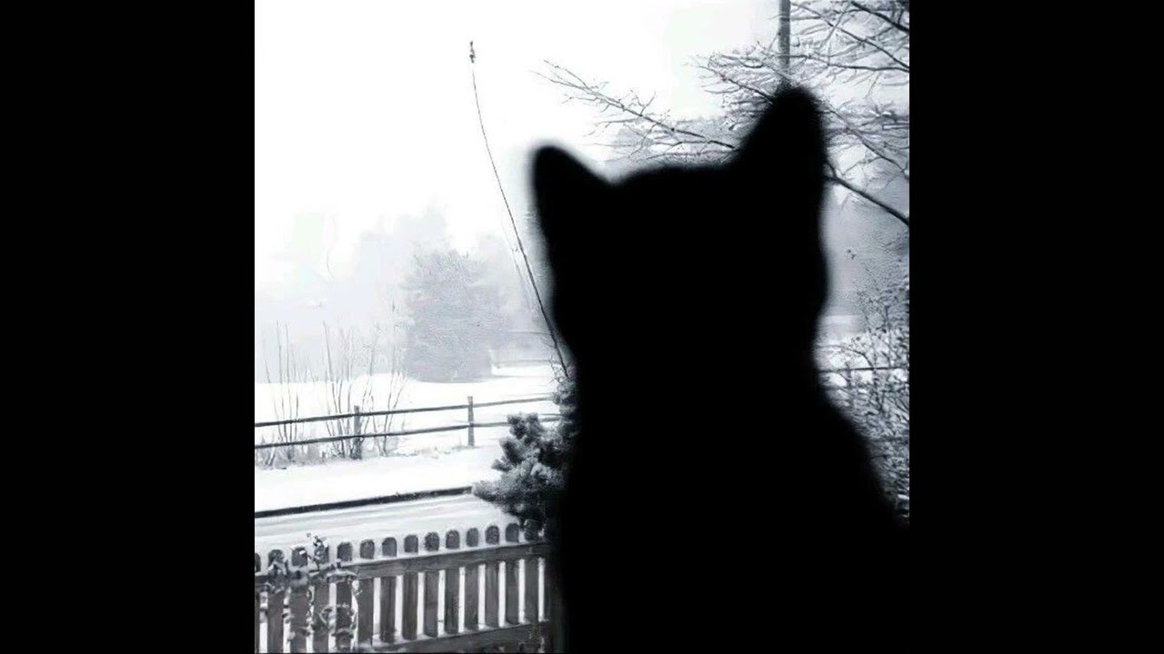 (free) archivecore + темныйпринц + greyrock + emotional - 