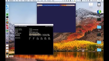 Automated AppSec Test with Robot Framework and Arachni