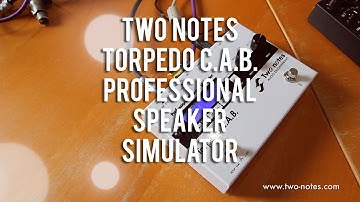 Two Notes: TORPEDO C.A.B. Professional Speaker Simulator