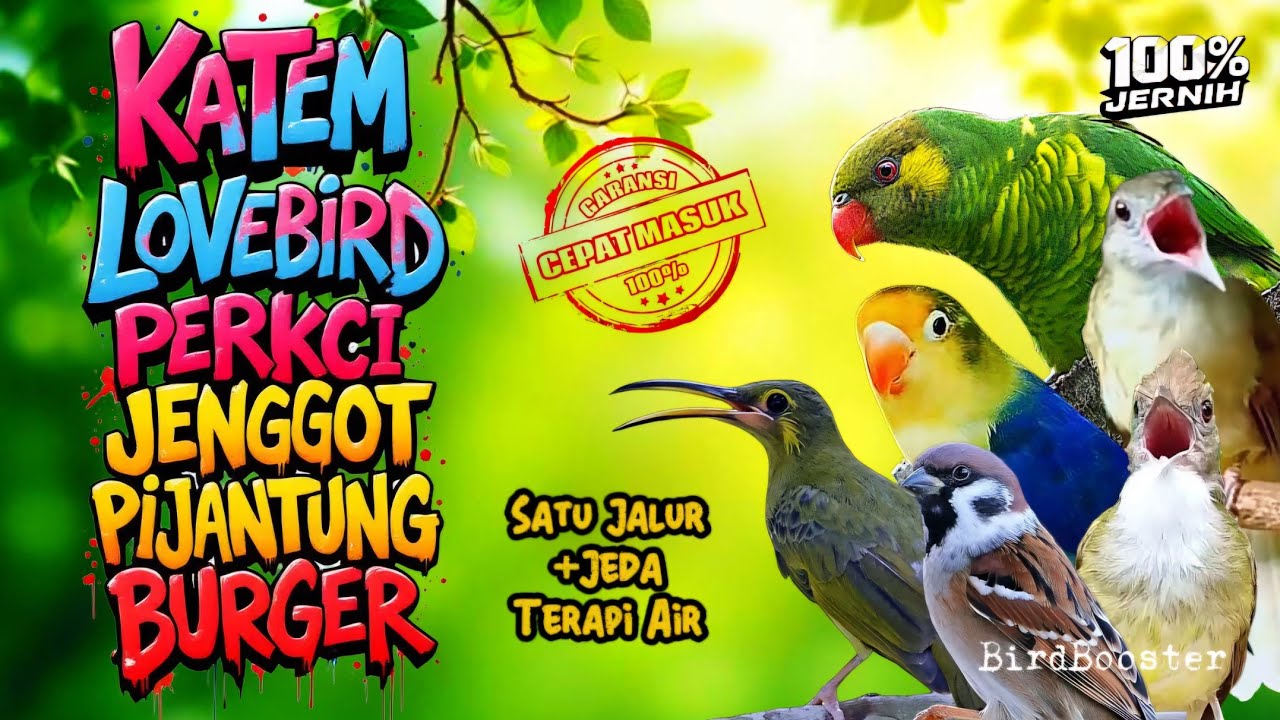 MASTERAN SATU JALUR + JEDA TERAPI AIR | TEMBAKAN KASAR TAJAM!!